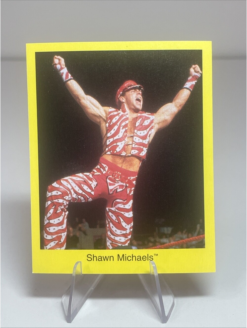 1997 Cardinal WWF Trivia Game SHAWN MICHAELS Card Series 1 WWE HOF